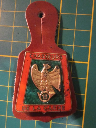 Insigne 13ème régiment - 13ème,